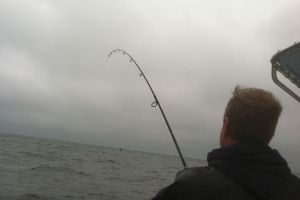 jersey devil fishing 31 20200528