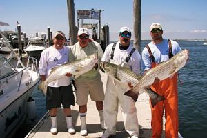 jersey devil fishing 11 20200528