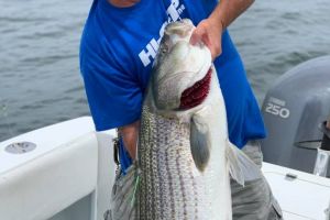 jersey devil fishing 18 20200528