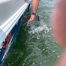 jersey devil fishing 19 20200528