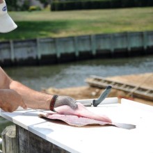 jersey devil fishing 20 20200528