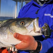 jersey devil fishing 32 20200528