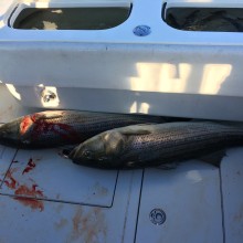 jersey devil fishing 60 20200528