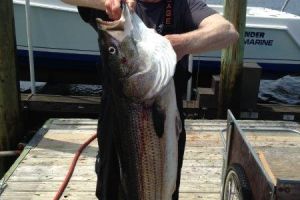 jersey devil fishing 61 20200528